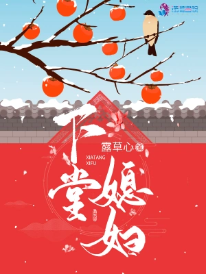 下堂媳妇