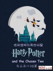 哈利波特与梅林