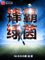 鋒霸綠茵在線閱讀