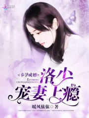 洛少宠妻上瘾