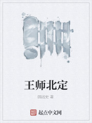定北王