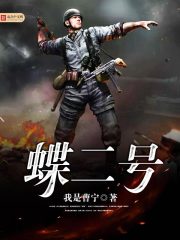 《蝶二号》_我是曹宁著_军事