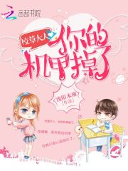 校草大人：你的机甲掉了