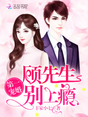 第一宠婚：顾先生，别上瘾