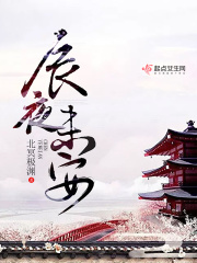 辰夜未安在線閱讀