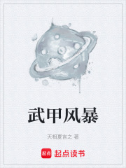 武甲風暴在線閱讀