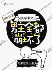 快穿之男主全都崩坏了