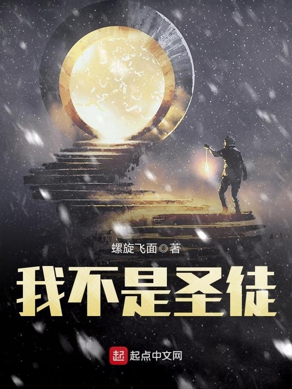 我不是圣徒在線閱讀