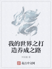 我的世界之打造养成之路