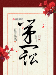 第一訟在線閱讀