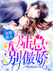 宠婚撩人：陆总，别傲娇！