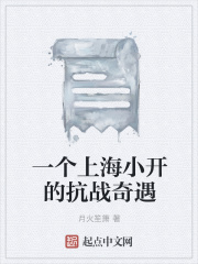 一個上海小開的抗戰(zhàn)奇遇在線閱讀