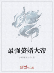 最强赘婿大帝