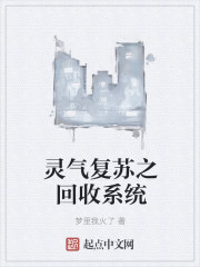 灵气复苏之回收系统