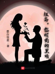 短篇黎明前的黑暗在線閱讀