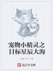 精灵宝可梦之目标星辰大海