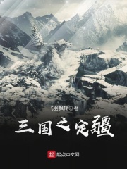 三國之定疆在線閱讀