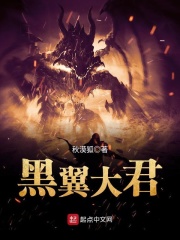 黑翼大君在線閱讀