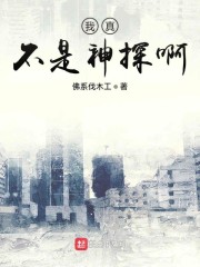 我真不是神探
