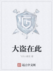 大盜在此在線閱讀