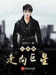 从主播开始成为巨星