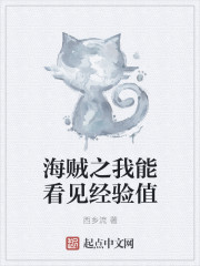 海贼之我能看见经验值