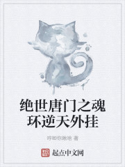 绝世唐门之魂环逆天外挂