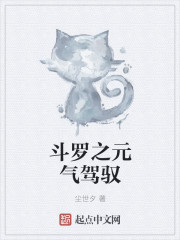 斗罗之元气驾驭