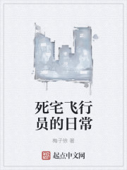 死宅飞行员的日常