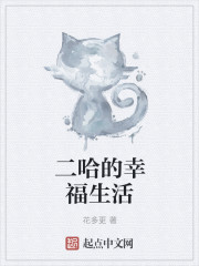 二哈的五代目火影养成计划