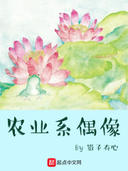农业系偶像