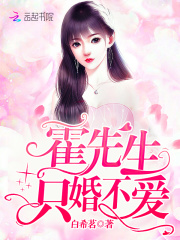霍先生只婚不愛在線閱讀