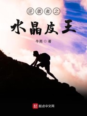 逆袭者之水晶皮王
