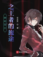 精灵之王者的旅途