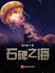 石碑之海在線閱讀