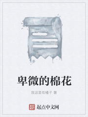 卑微的棉花在線閱讀