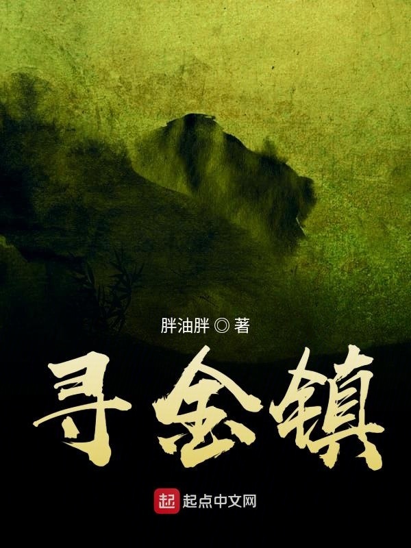 尋金鎮在線閱讀
