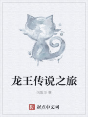 龙王传说之旅