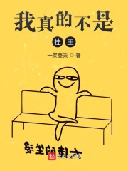 我真的不是挂王