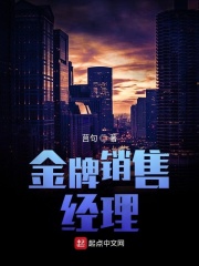 金牌销售经理在线阅读