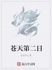 苍天第二日