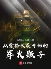 從霍格沃茨開始的軍火販子在線閱讀