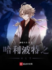 哈利波特之双生子