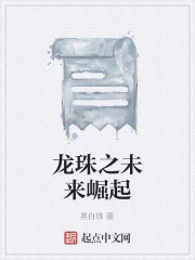 龙珠之未来崛起