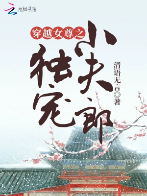 穿越女尊之独宠小夫郎