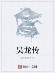 昊龙传