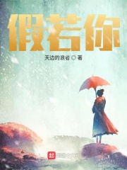 光微微亮起在線閱讀