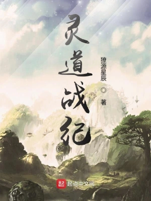 灵道战纪