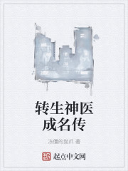 转生神医成名传