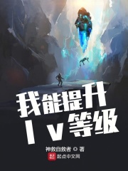 我能提升lv等級在線閱讀